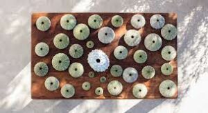 pocketbim-kitchen_design_ideas-natural_materials-1