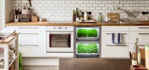 small-kitchen-design-ideas-sustainable-5_garden